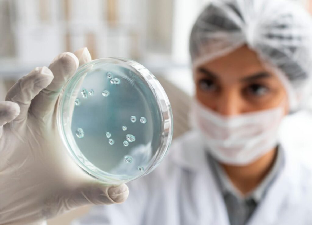 Erweit The Most Researched Probiotic Strain Worldwide