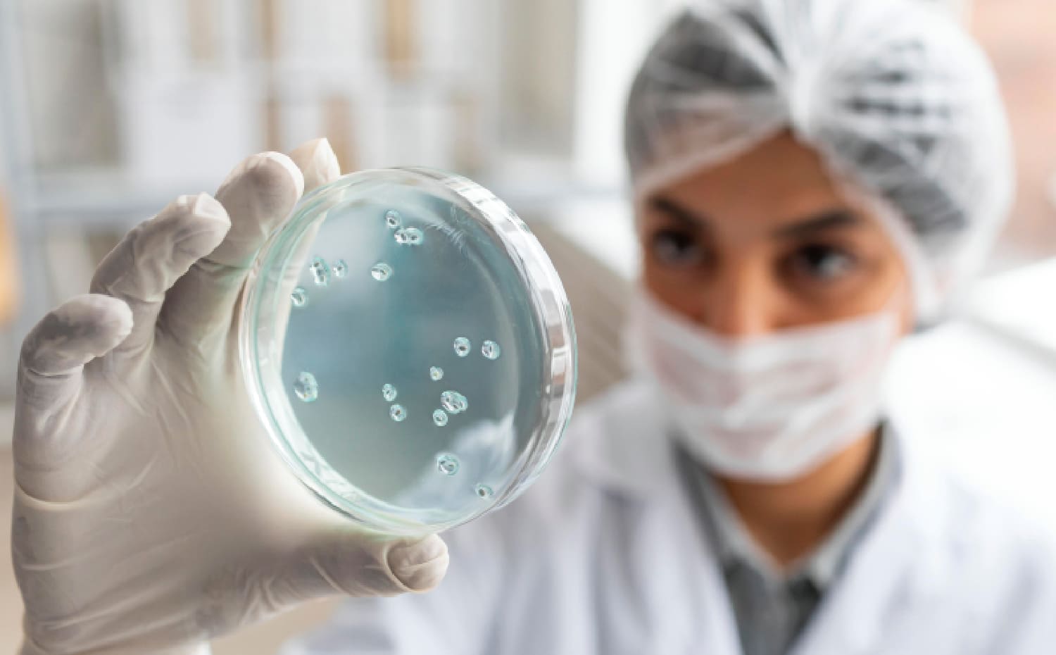 Erweit The Most Researched Probiotic Strain Worldwide