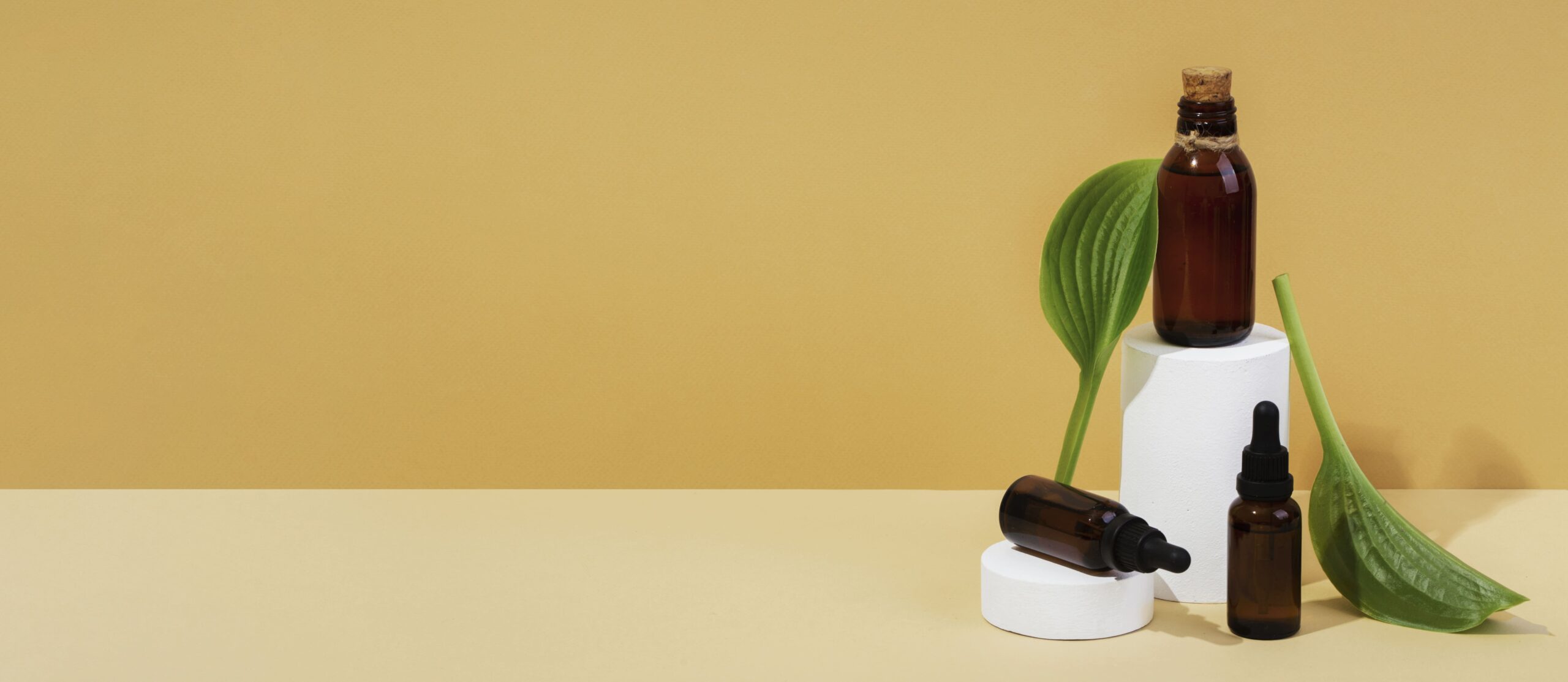 Erweit Upcoming Products